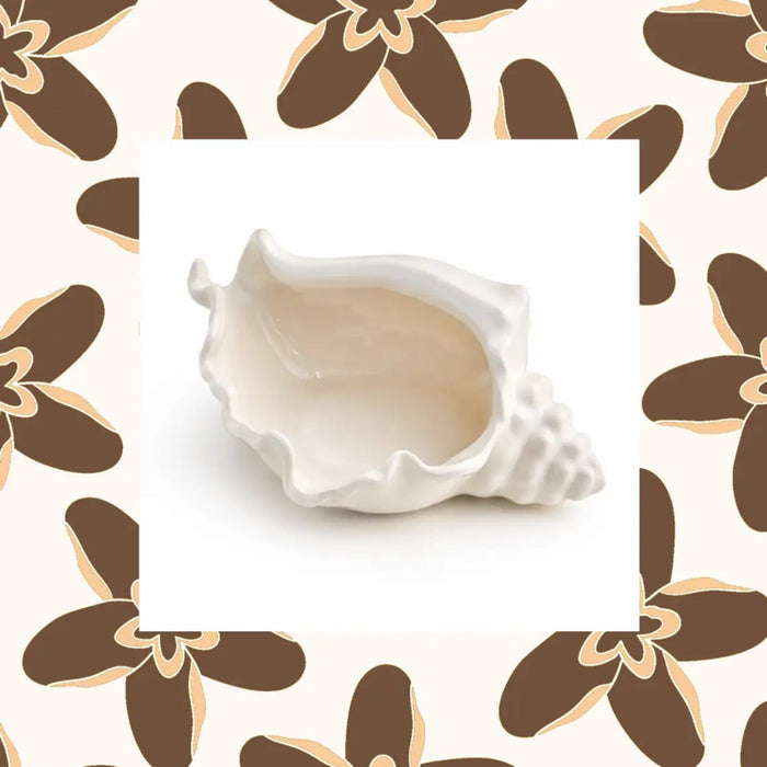 Conch Shell Jewelry Dish