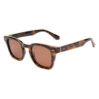 Palmer Tort/Brown
