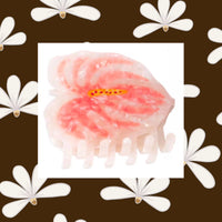 Anthurium Claw Clip