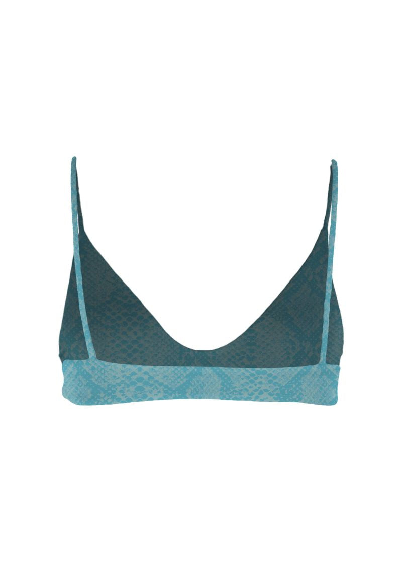 Everyday Top Arctic Python