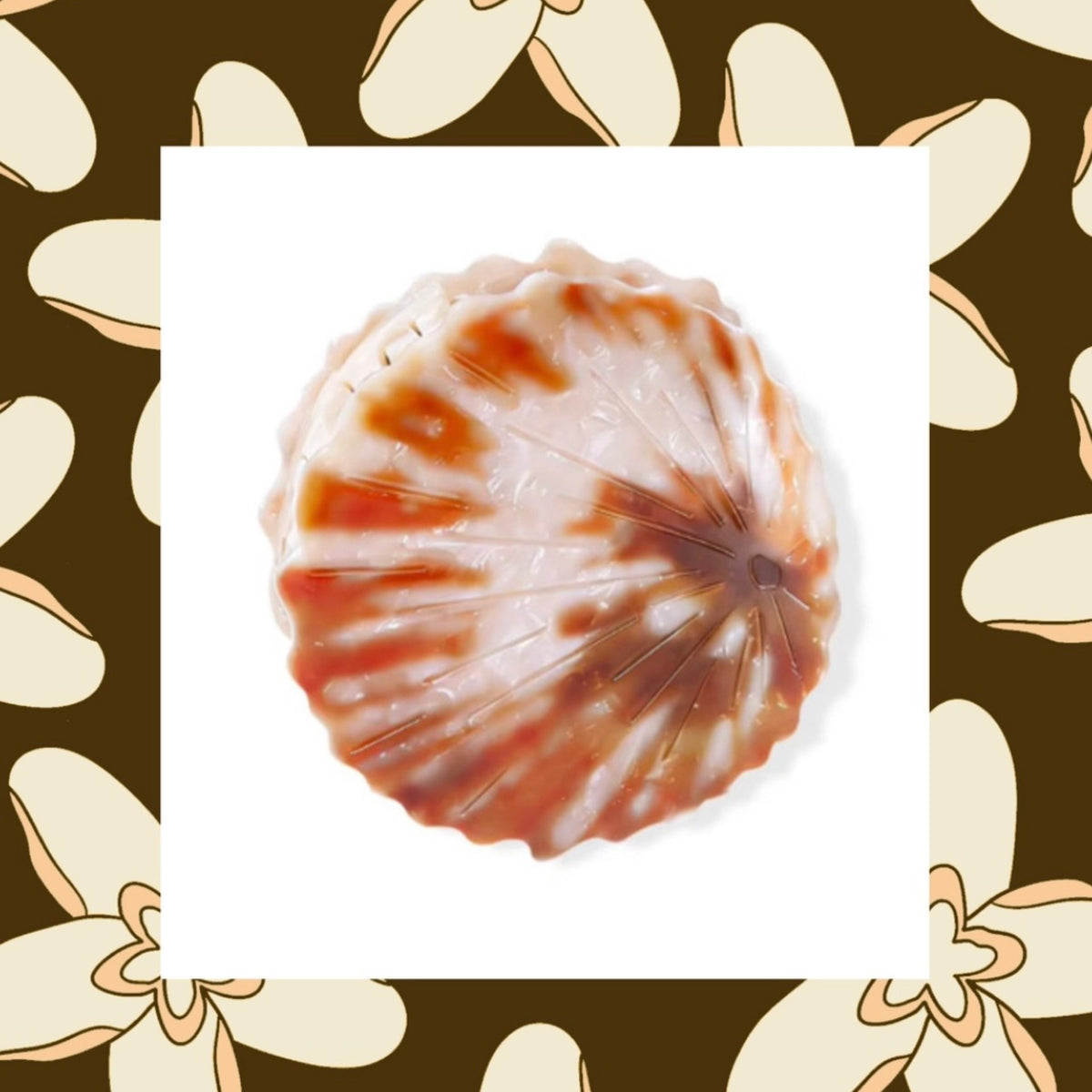 Opihi Shell Claw Clip