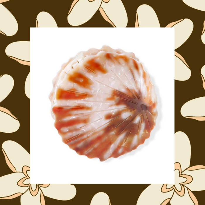 Opihi Shell Claw Clip
