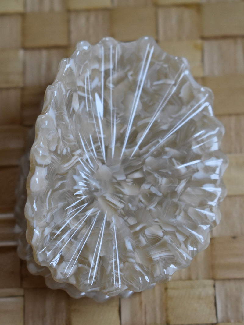 Opihi Shell Claw Clip White