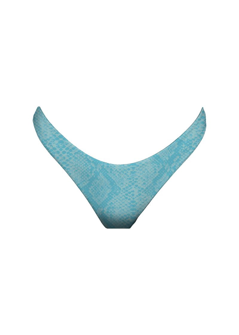 Everyday Bottom Arctic Python