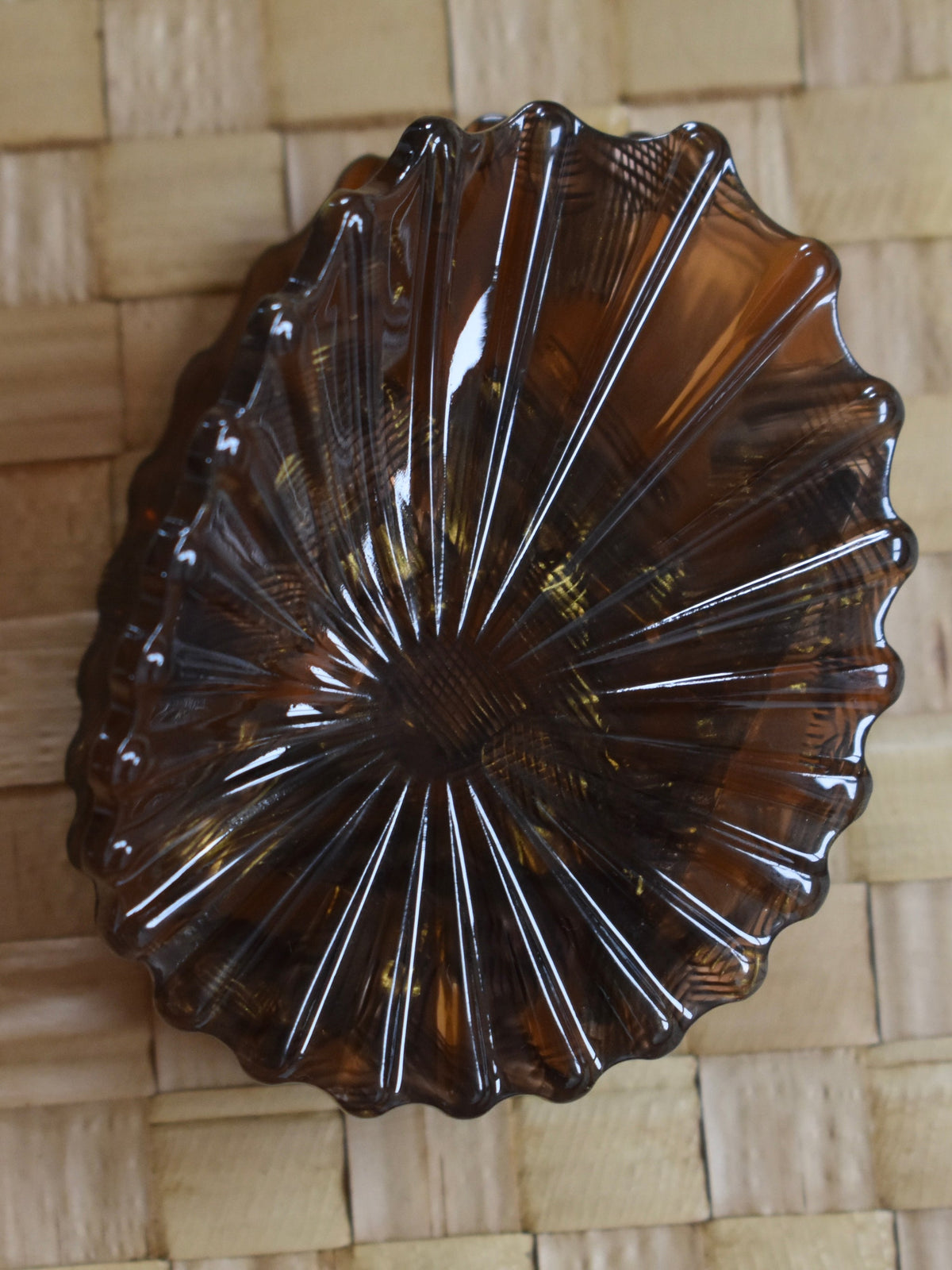 Opihi Shell Claw Clip Brown