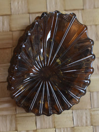 Opihi Shell Claw Clip Brown