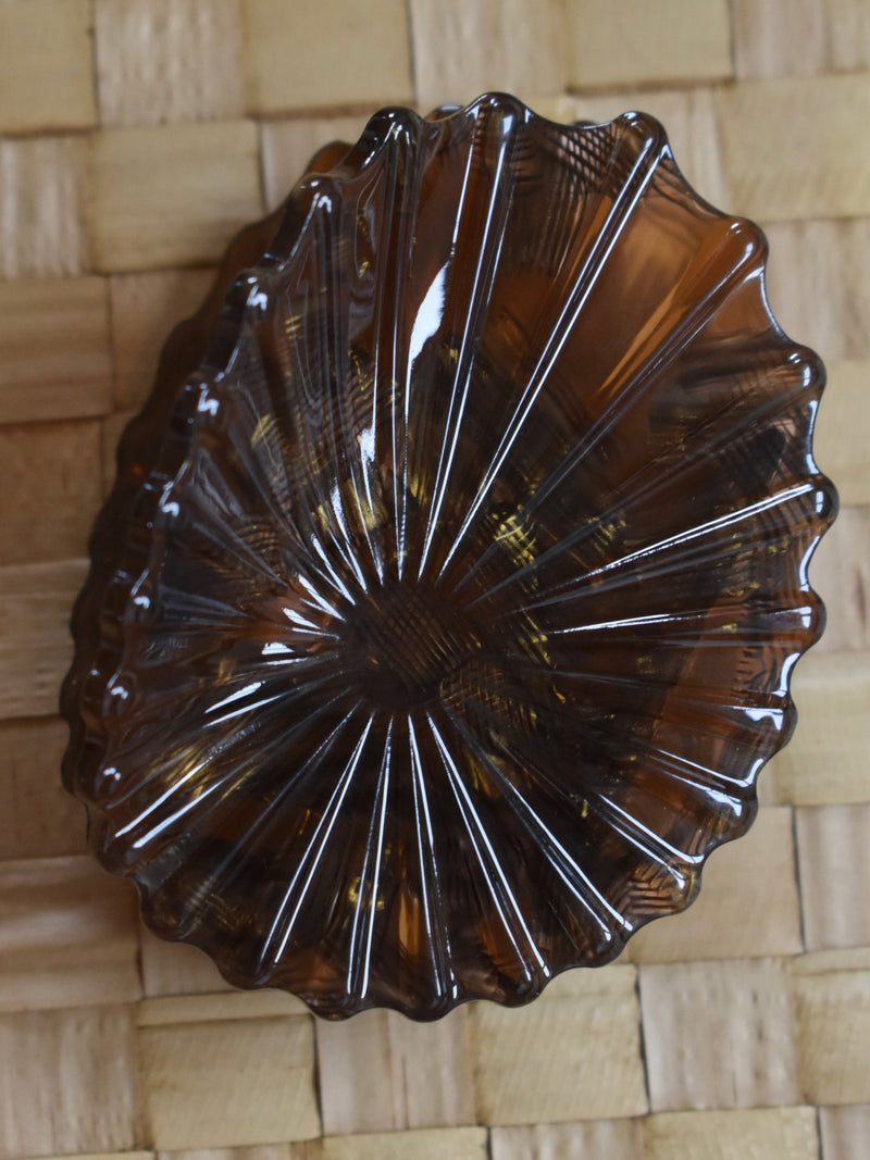 Opihi Shell Claw Clip Brown