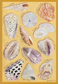 Hawaii Ocean Treasures Puzzle