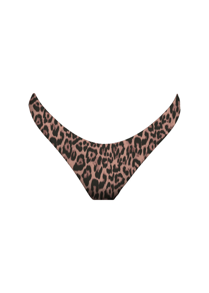 Everyday Bottom Feline