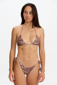 Tunnels Bottom Sahara