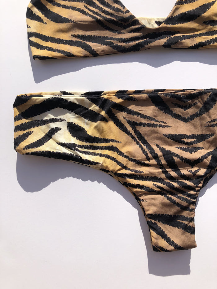 Active Bottom Tiger