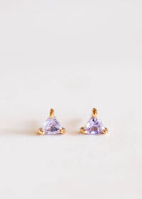 Amethyst Energy Gems Earrings