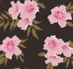 Echo Bottom Floret