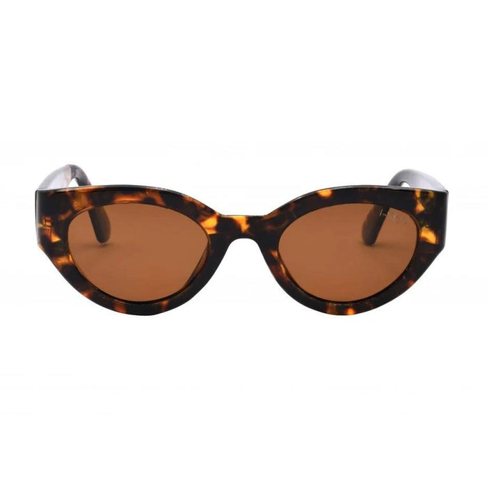 Ashbury Sky Tort/Brown